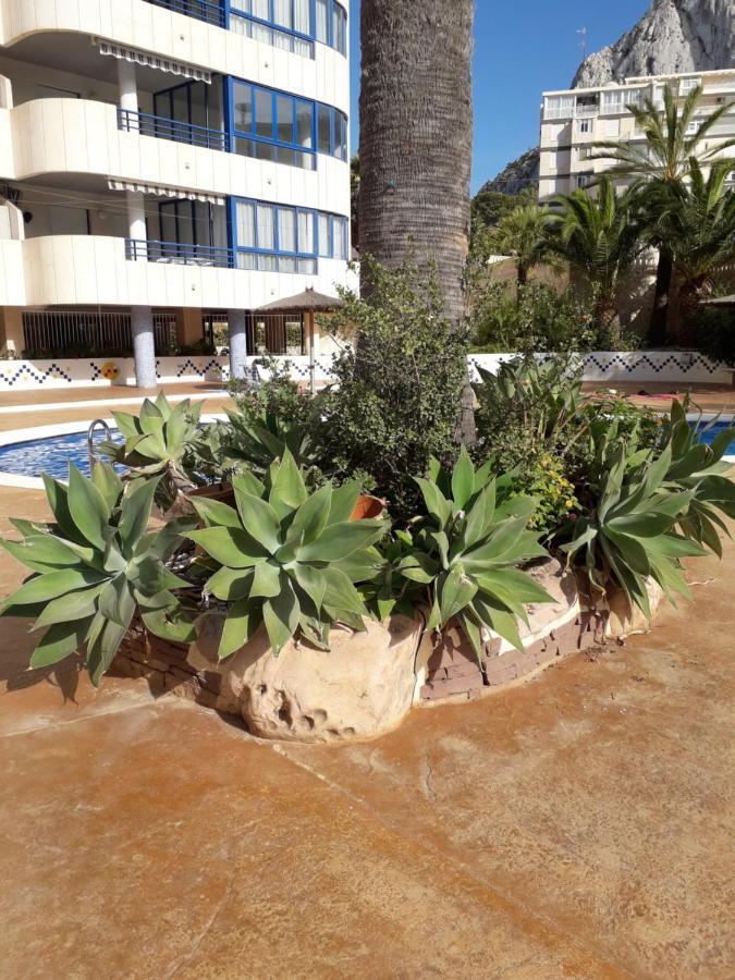 Appartement Equipe Calpe Espagne, 4 Couchages, Terrasse, Piscines, Climatisation, Garage, Wifi Gratuits Exteriér fotografie